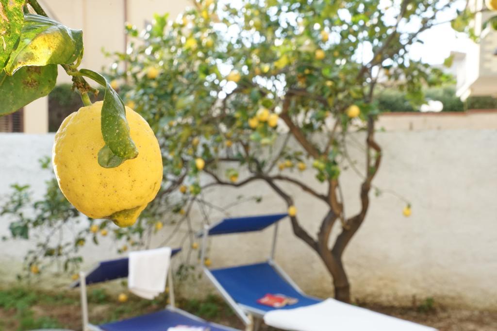 שאקה Bono Vacanze Casa Bono מראה חיצוני תמונה